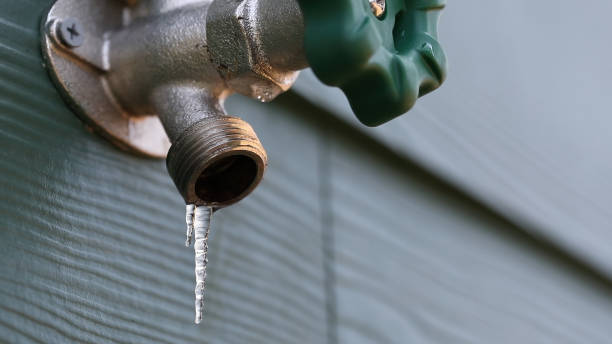 Best Plumbing Services Near Me  in Fleetwood, PA